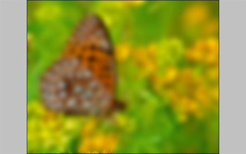 Nature Blur Effect 05