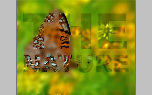 Nature Blur Effect 07
