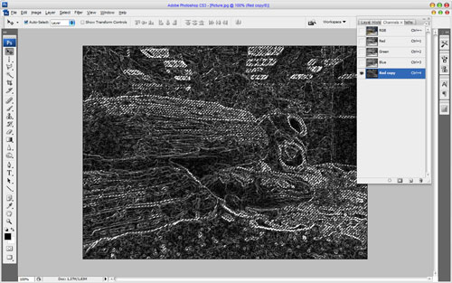 How to Sharpen Photo without Increasing Noise Visibility 04