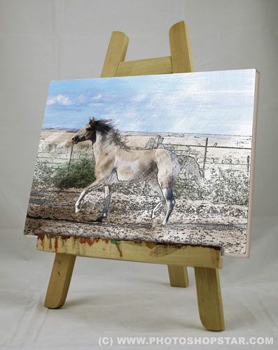 Turning Photos into Oil Paintings