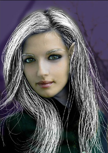 Transform Female into Dark Elf 28