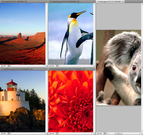 شرح واجهة Photoshop 5