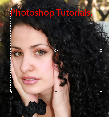 مقدمة إلى شريط أدوات Photoshop (الجزء 3) 11