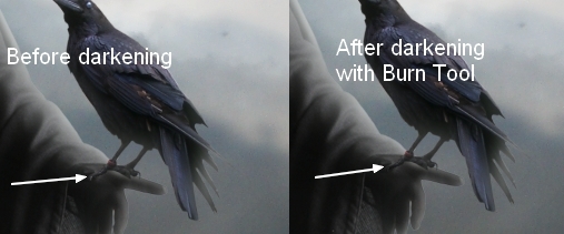  Create A Dark Grim Reaper Scene in Photoshop 