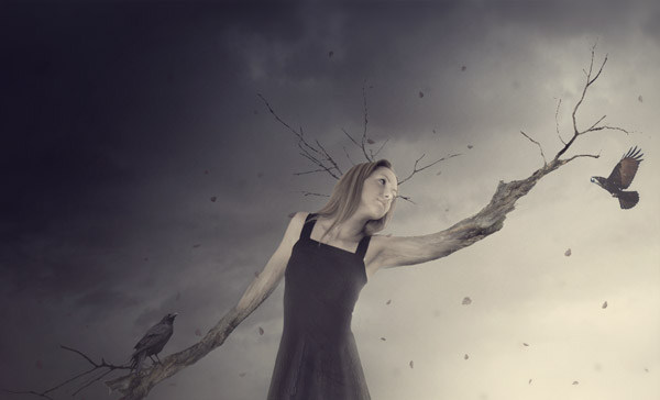 Create a Fantasy Tree Woman Scene in Photoshop
