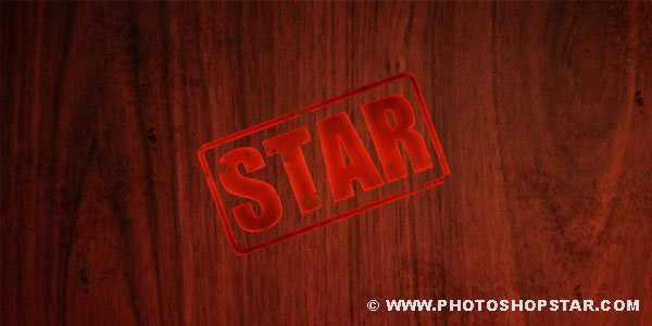 11 Photo 10