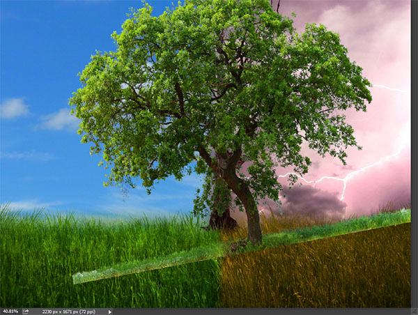 Create a dramatic tree manipulation in Adobe Photoshop 13