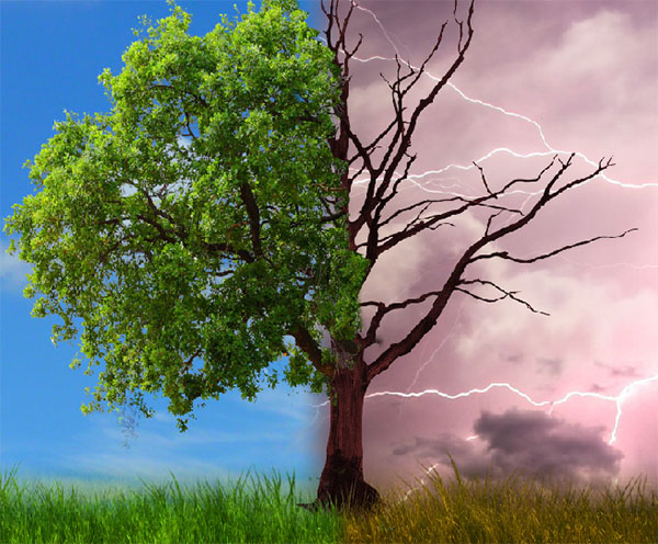 Create a dramatic tree manipulation in Adobe Photoshop 14
