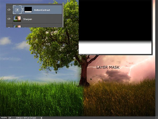 Create a dramatic tree manipulation in Adobe Photoshop 19