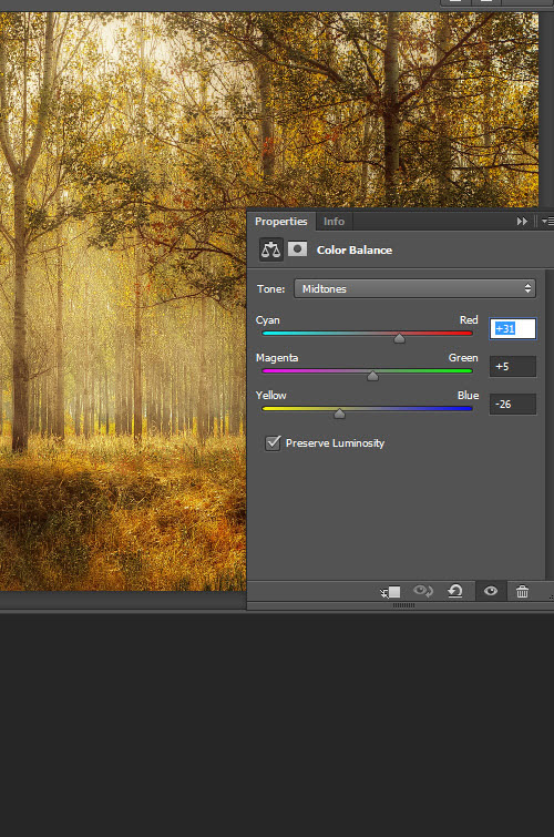 Add a warm atmosphere effect to a forest image 3