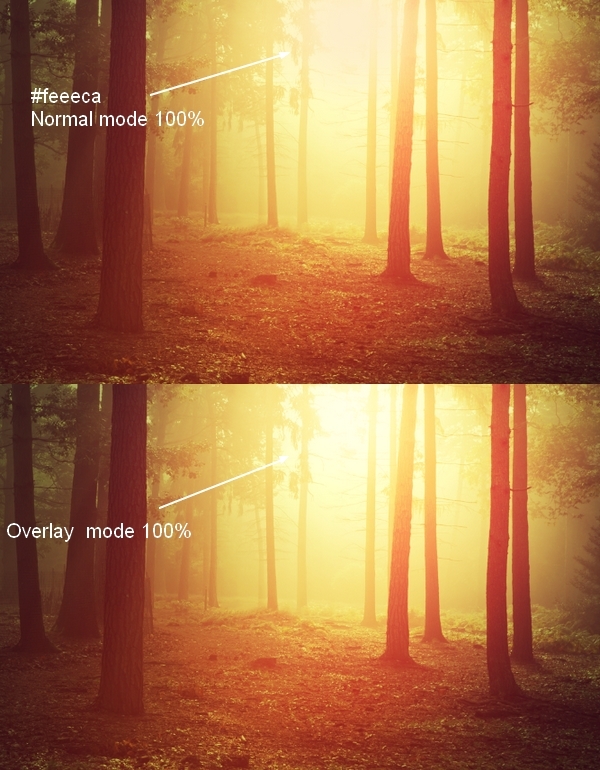 How to Use Photoshop Lighting Effects in a Photo 15