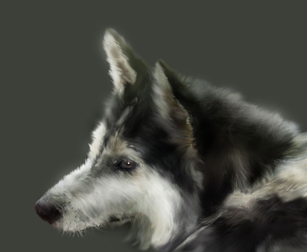 Photoshop Star Best Tutorials from 2012