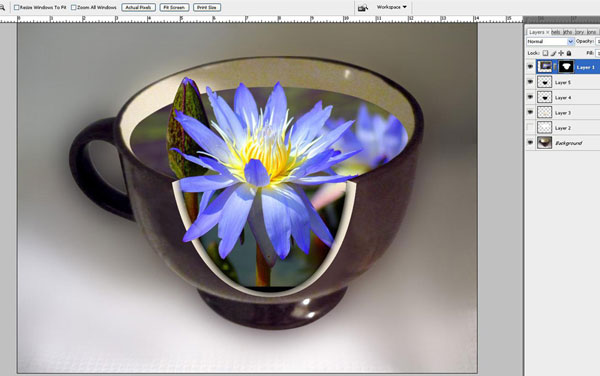 Create a Water Lily in a Cup Effect in Photoshop 25