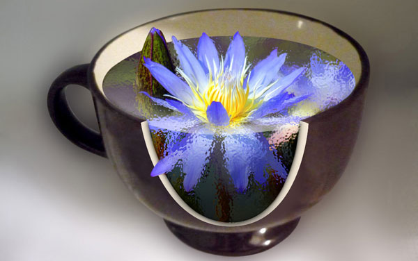 Create a Water Lily in a Cup Effect in Photoshop